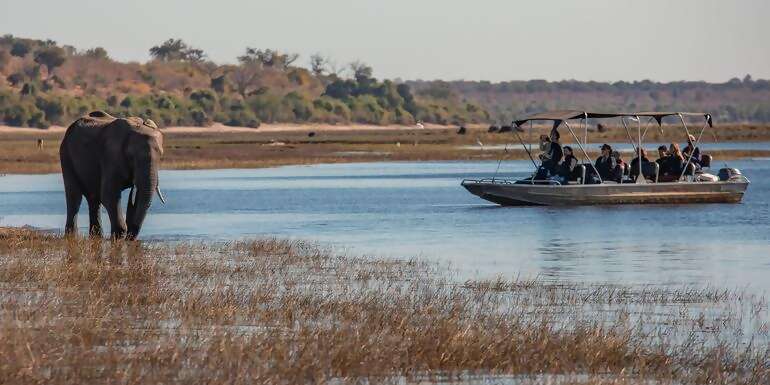 Zimbabwe & Botswana: Chobe, Hwange & Lake Kariba
