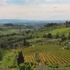 Italy: Tuscany and Umbria Vineyard Walks