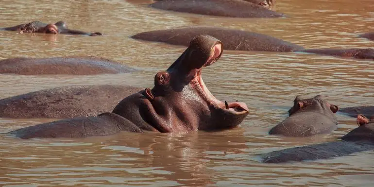 Kenya: Cultural Connections, Mt Kenya & Maasai Mara