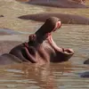 Kenya: Cultural Connections, Mt Kenya & Maasai Mara