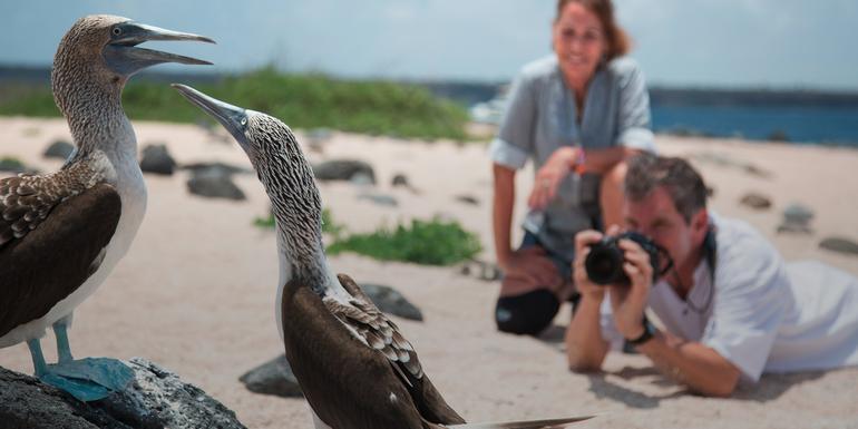 The Galápagos: Wildlife of Santa Cruz & Isabela Islands