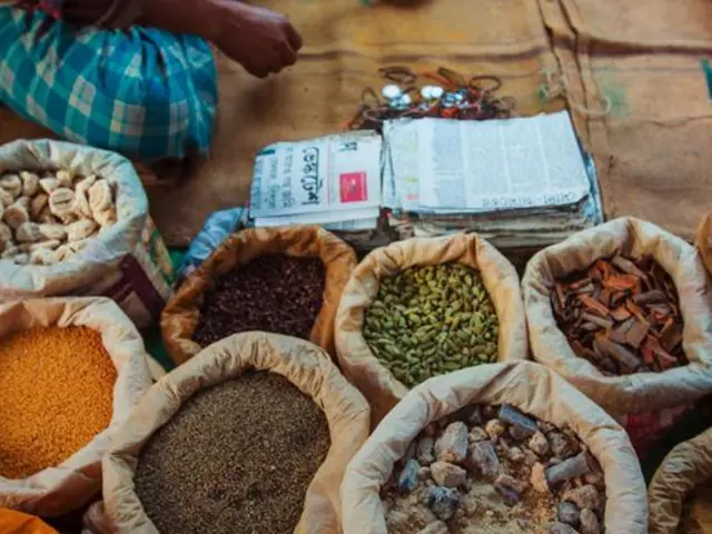 Northern India: Riverside Safaris, Ancient Fortresses & The Taj Mahal