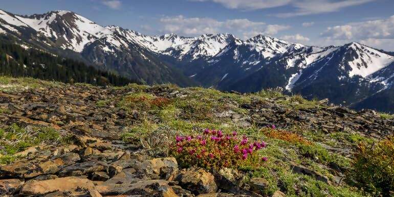 Best of Northern Rockies & the Pacific Northwest