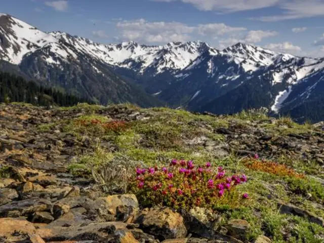 Best of Northern Rockies & the Pacific Northwest