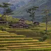 Classic Vietnam: Sapa to Ho Chi Minh