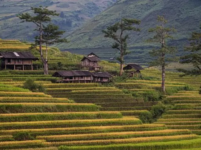Classic Vietnam: Sapa to Ho Chi Minh