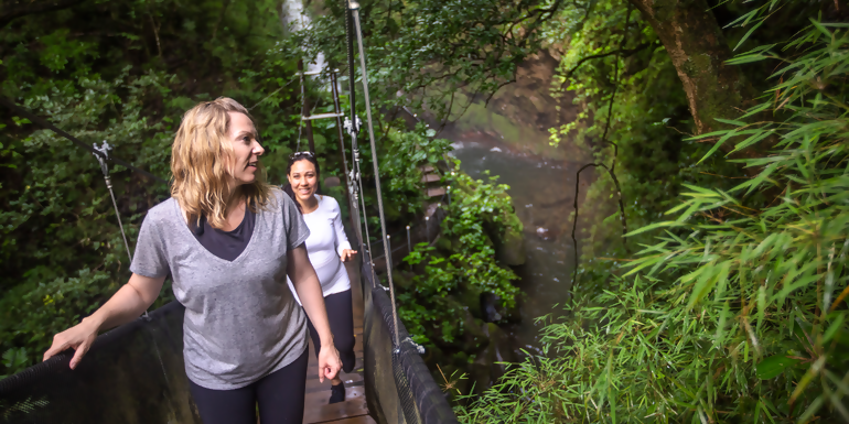 Costa Rica: The Wonders & Wildlife of the North