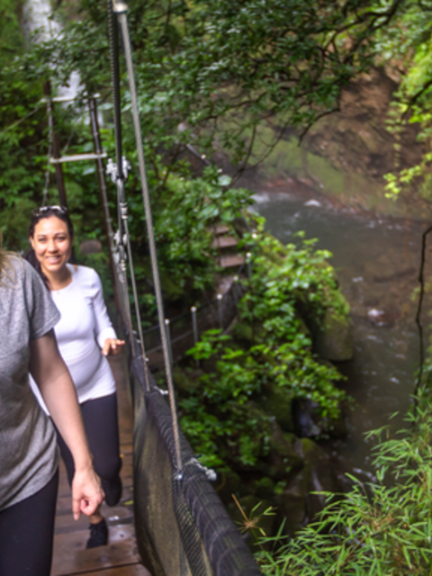 Costa Rica: The Wonders & Wildlife of the North