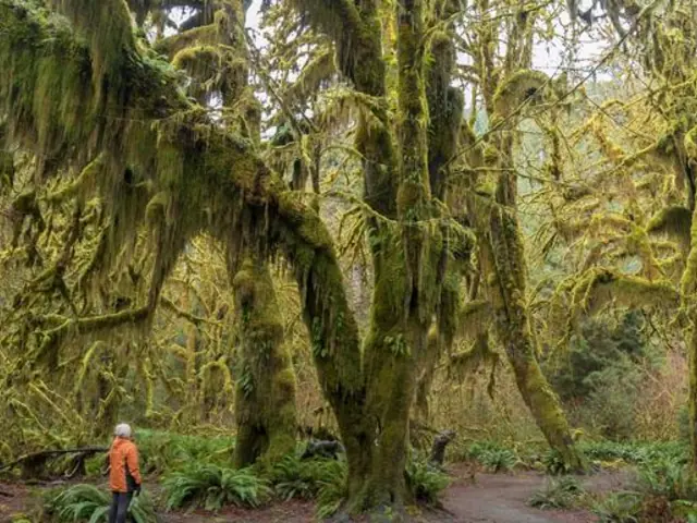 Discover the Pacific Northwest