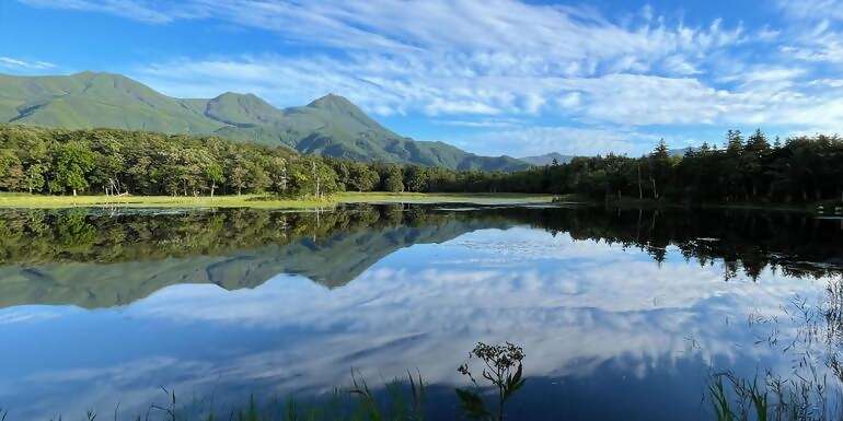 Active Northern Japan: Tokyo & Hokkaido