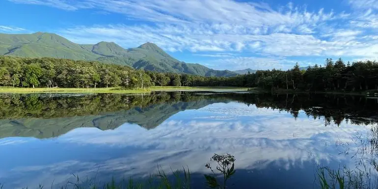 Active Northern Japan: Tokyo & Hokkaido