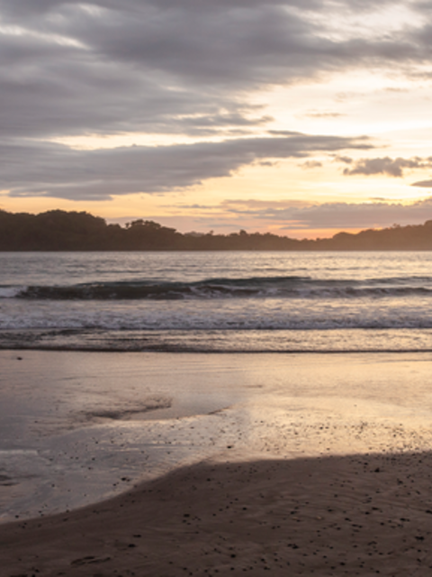 Costa Rica: Wildlife, National Parks & Hidden Gems of the Northwest