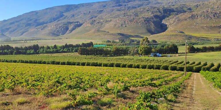 South Africa: The Garden Route