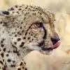 Best of South Africa