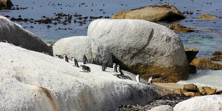 Solo-ish South Africa