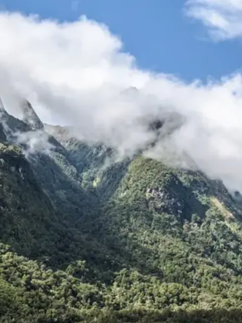Solo-ish New Zealand