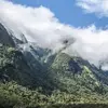 Solo-ish New Zealand