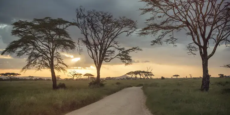 Incredible Tanzania: Serengeti to Zanzibar