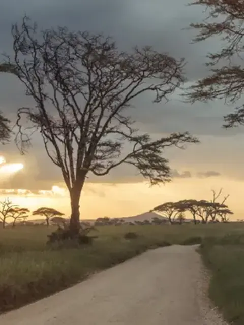 Incredible Tanzania: Serengeti to Zanzibar
