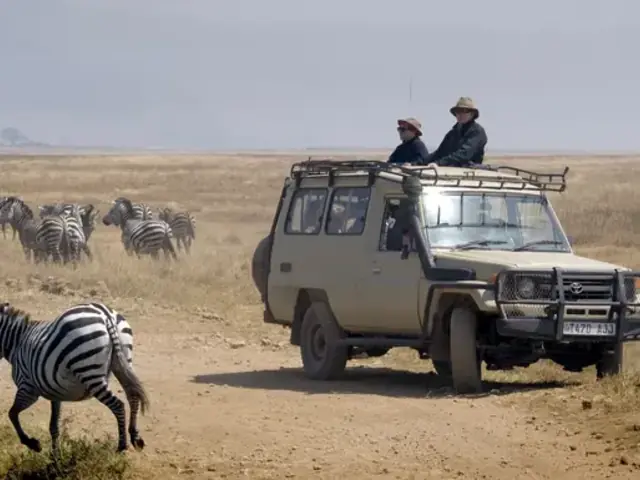 Tanzania Uncovered: Wildlife of the Serengeti & Ngorongoro Crater