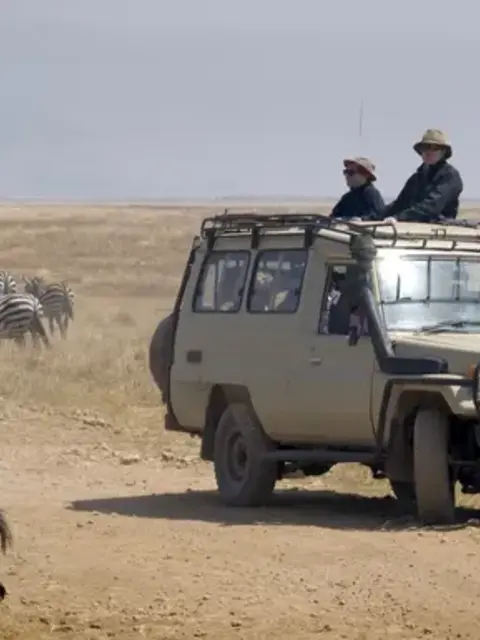 Tanzania Uncovered: Wildlife of the Serengeti & Ngorongoro Crater