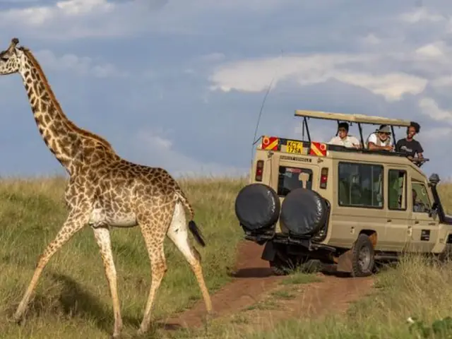 Kenya: Masai Mara, Tsavo & Coastal Wonders