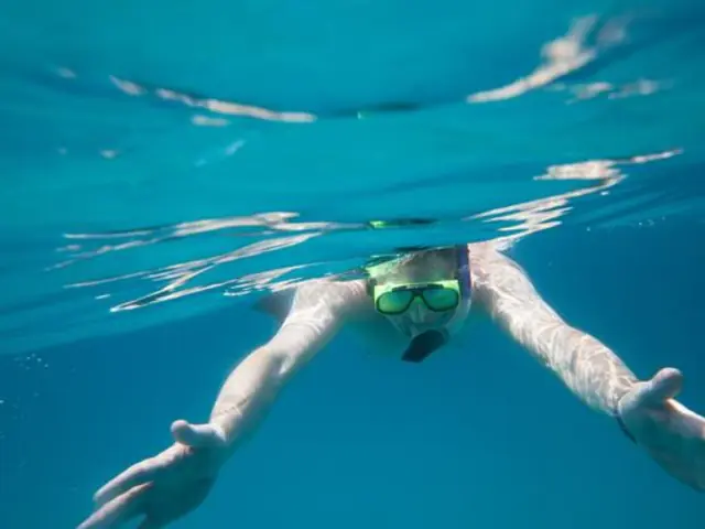 Solo-ish Ecuador & Galapagos