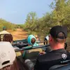 Southern Africa Safari: Kruger, Victoria Falls, Hwange & Chobe