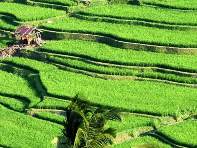 Indonesia: Bali Adventure
