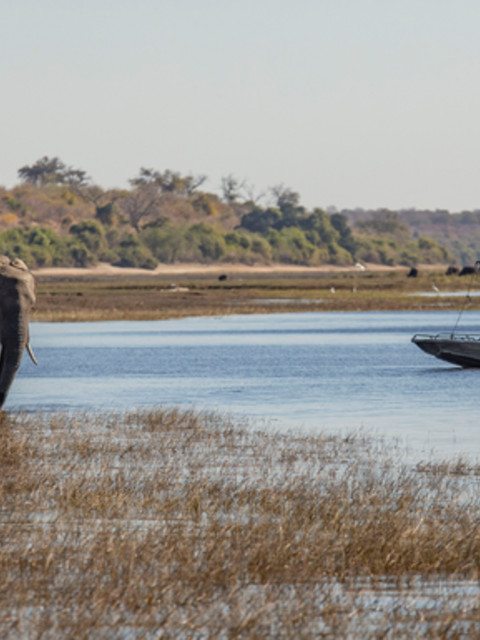 Complete Botswana: National Parks & Delta Wildlife