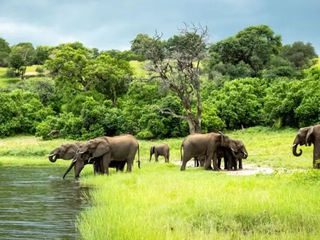 Zimbabwe & Botswana Safari: Victoria Falls & The Big Five