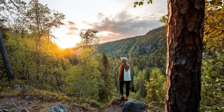 Finnish Lapland Discovery