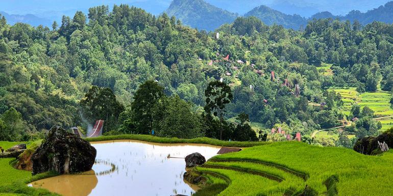 Sulawesi Adventure: The Culture of Tana Toraja