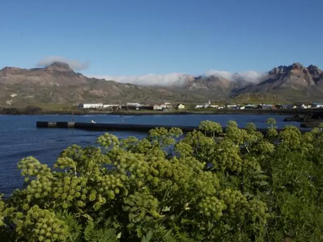 Local Living Iceland— Bakkagerði