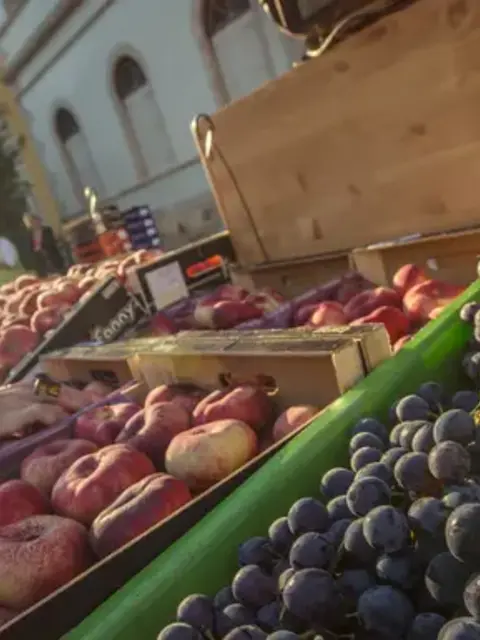 Local Living France: Toulouse