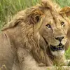 Wildlife & Coastal Wonders of Kenya: Tsavo to Watamu