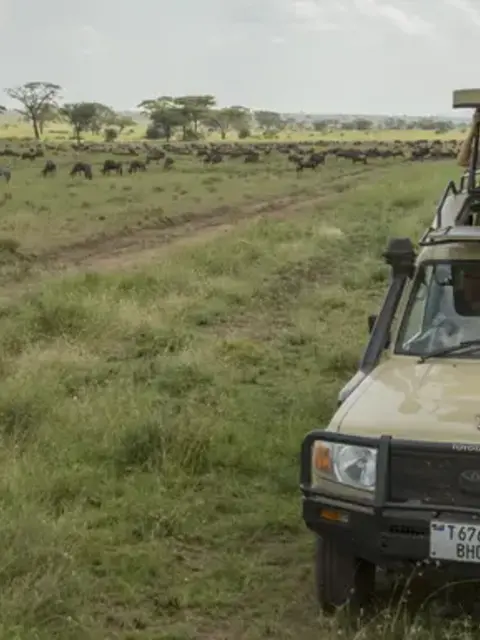 East Africa: Kenya, Tanzania & Zanzibar's Beaches