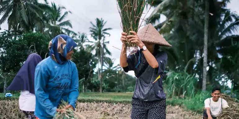 Lombok & Gili Adventure: Culture, Peaks & Paradise