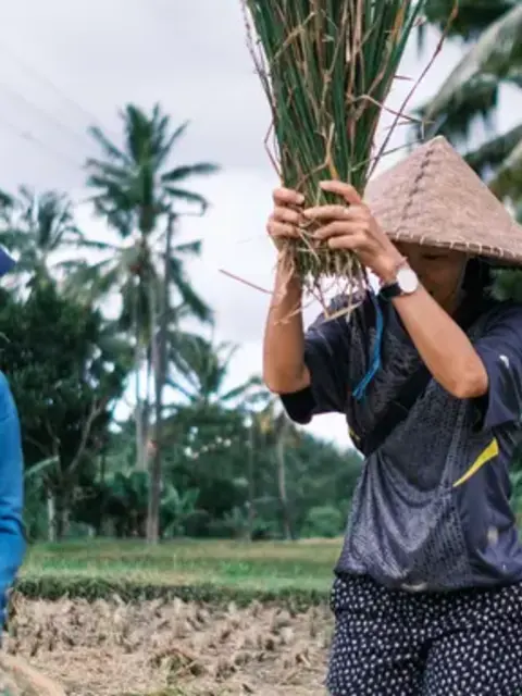 Lombok & Gili Adventure: Culture, Peaks & Paradise