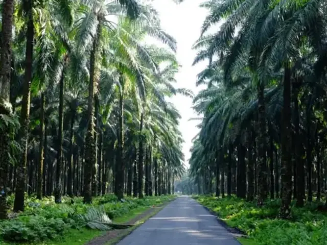 Sumatra to Bali: Wildlife, Waves & Wilderness