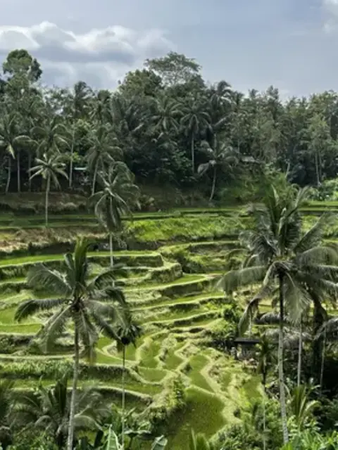 Bali’s Wild Heart: Soul, Surf & Spirit