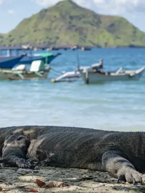Bali to Flores: Trails, Tribal Villages & Dragon Lagoons