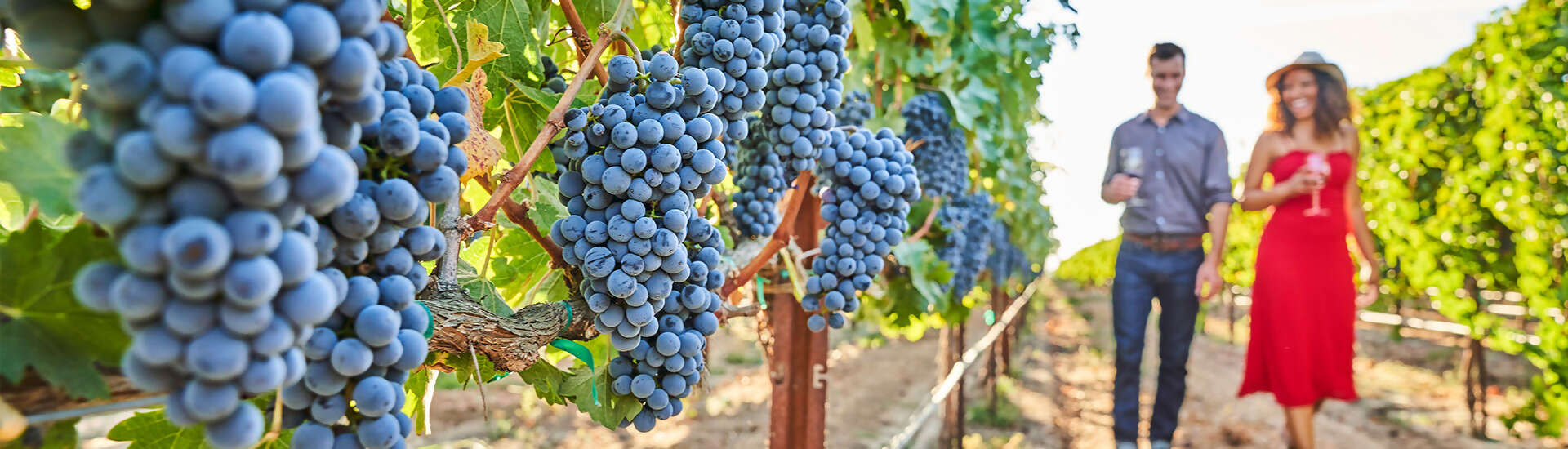 California: The Golden State of Luxury