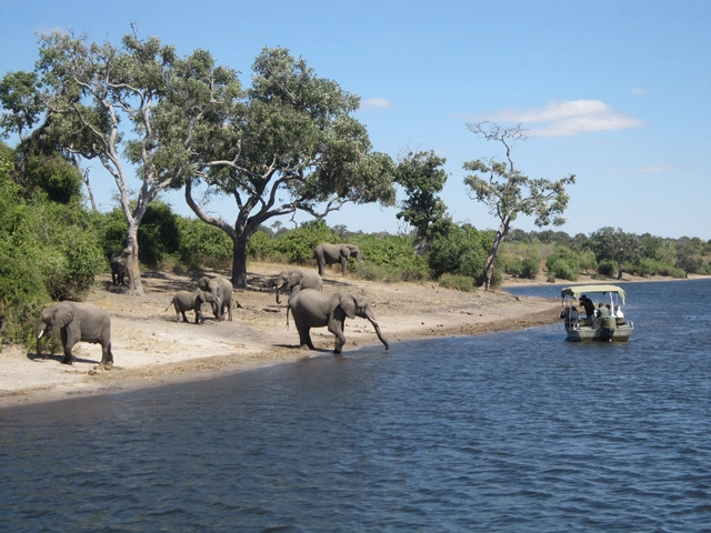 Exploring South Africa, Victoria Falls & Botswana