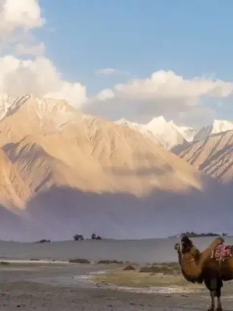 Northern India & Himalayan Trails