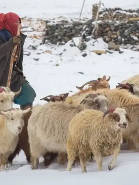 Kashmir to Ladakh: Where Valleys Meet the Sky