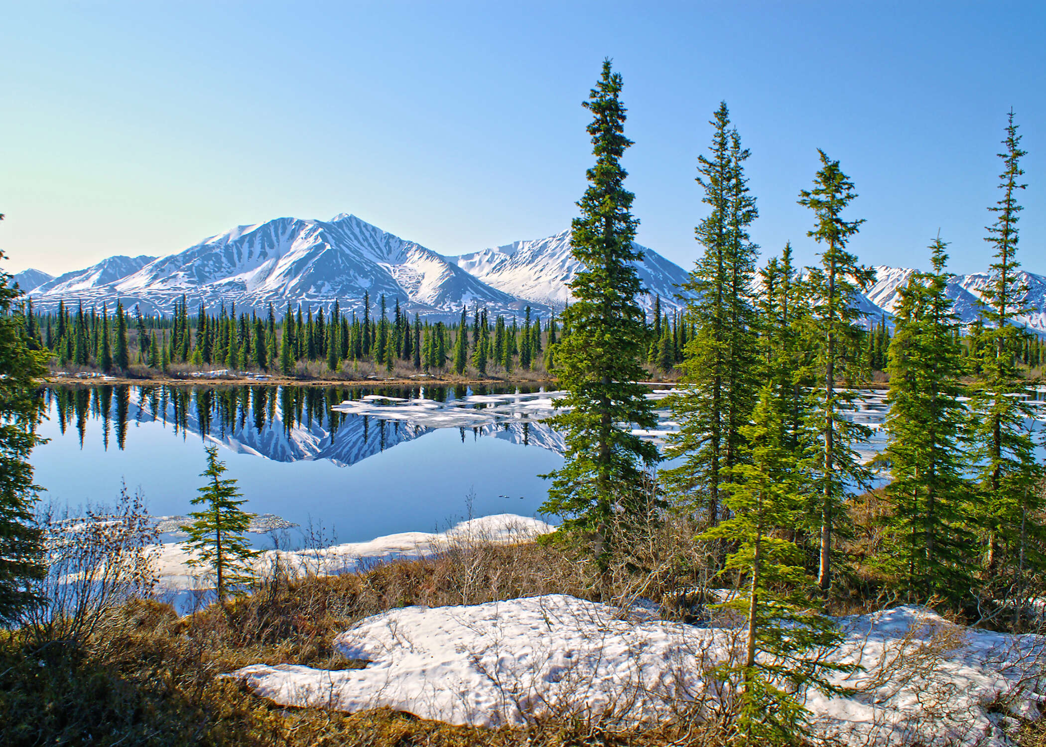 Alaska Discovery Land & Cruise featuring a 7-night Holland America Cruise