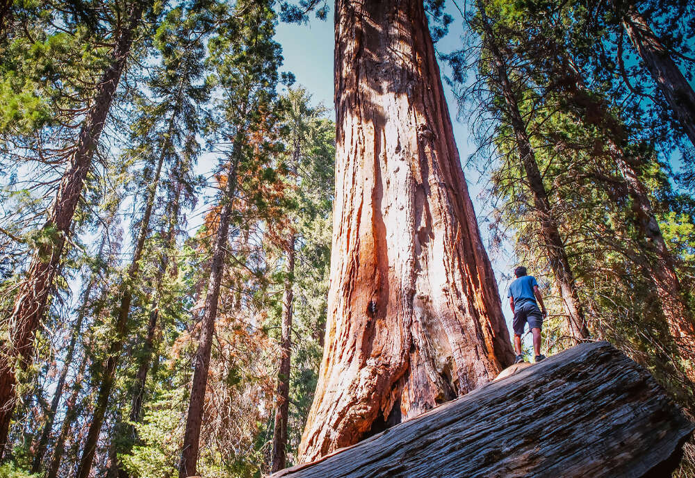 Pacific Northwest & California featuring Washington, Oregon and California
