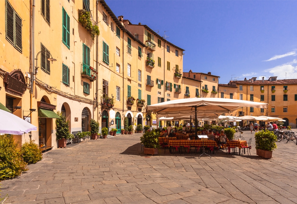 Italy's Treasures Art, Food & Wine of Italy