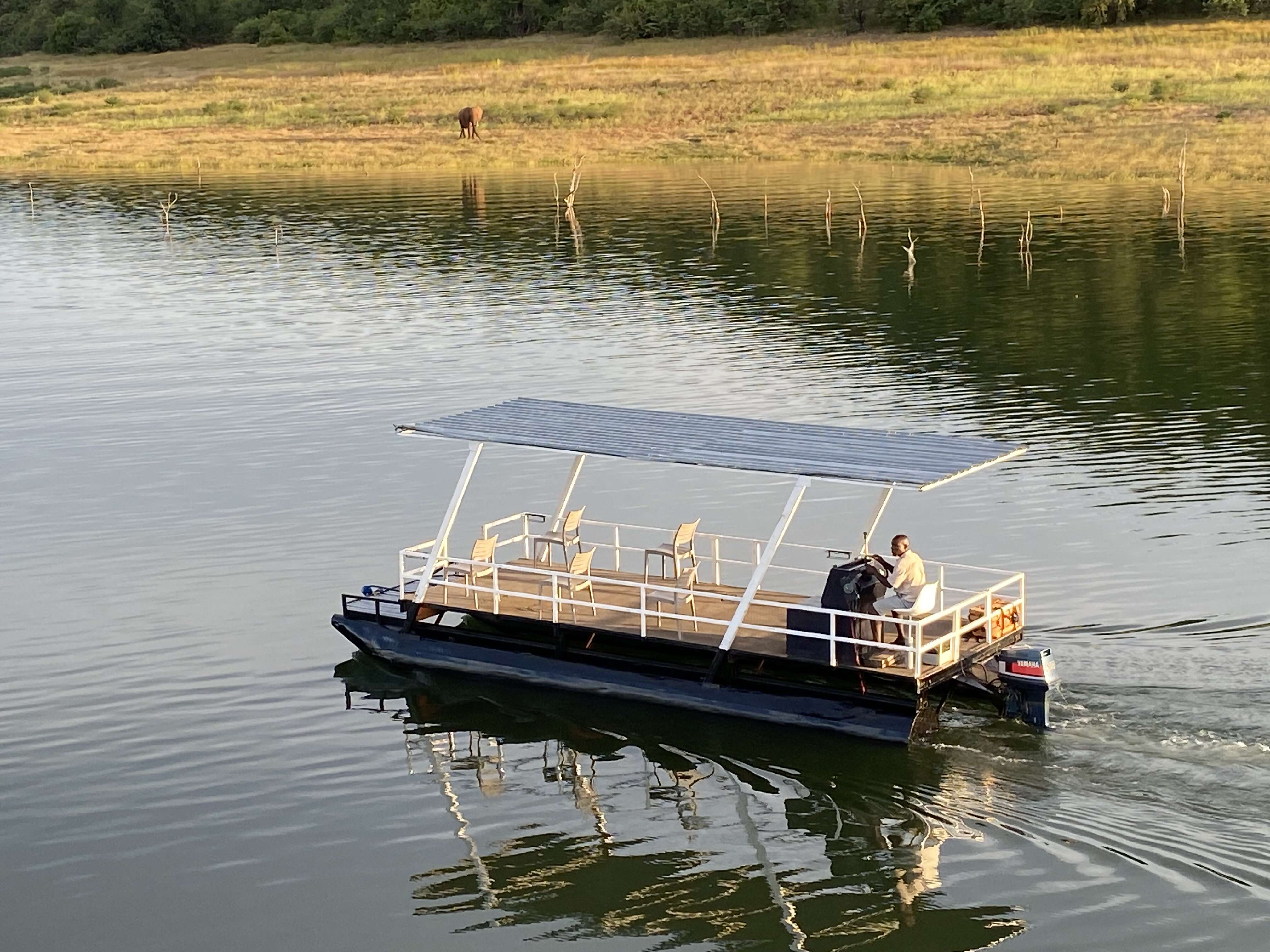 Wilderness of Southern Africa: Safari by Land & Water